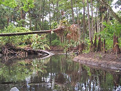 Loxahatchee River