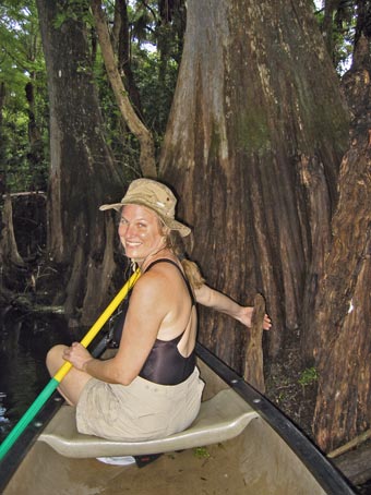 Cypress knees