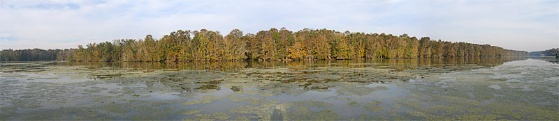 Bayou Long, end of Belle River, LA