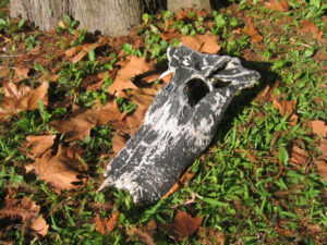 Gator skull log!