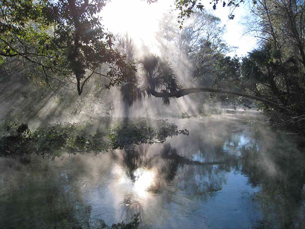 Daybreak on the river