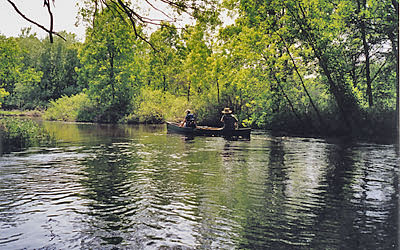 Rice Creek paddle