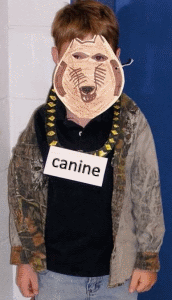 canine costume